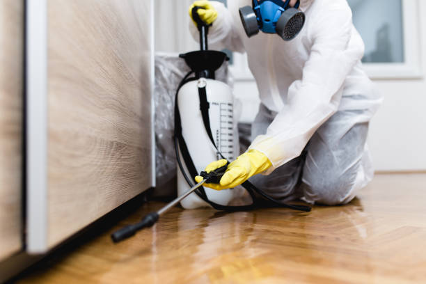 Best Mosquito Control Services  in Port Byron, IL