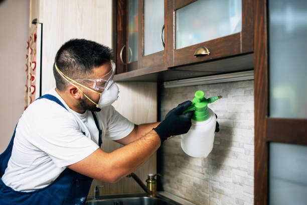 Best Pest Inspection Near Me  in Port Byron, IL