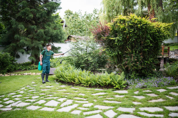 Best Best Pest Control Companies  in Port Byron, IL