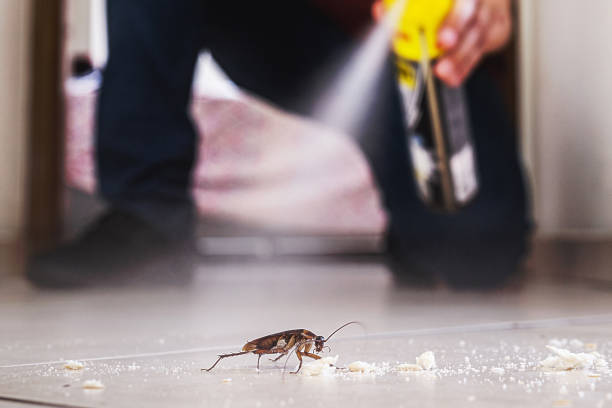 Best Pest Control for Homes  in Port Byron, IL